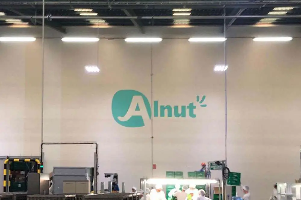 Disseny de retolació comercial en nave industrial-Alnut-grup Foodiverse-Identitat-corporativa-Gisela-Almerich_comunicacio-grafica