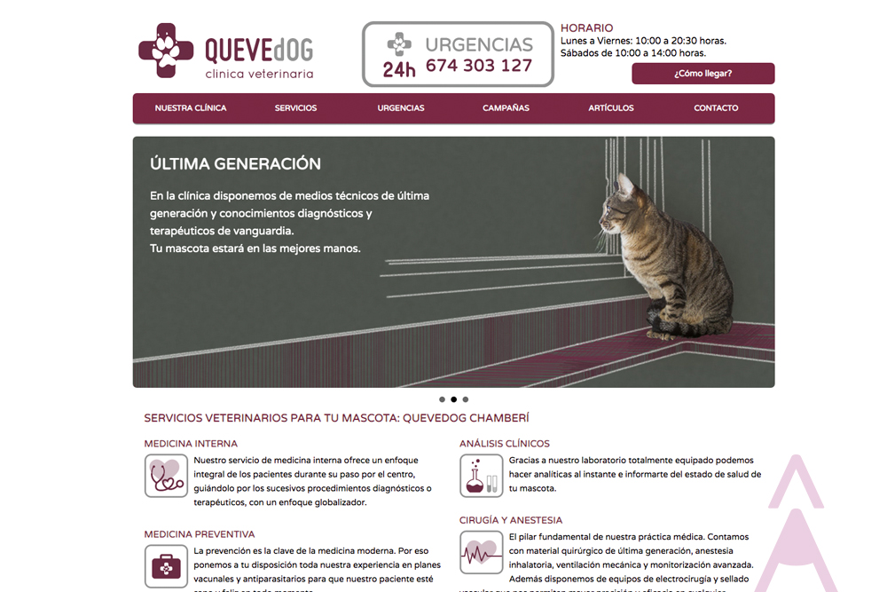 Home web Clínica veterinario Quevedog. Disseny Gisela Almerich comunicació gràfica