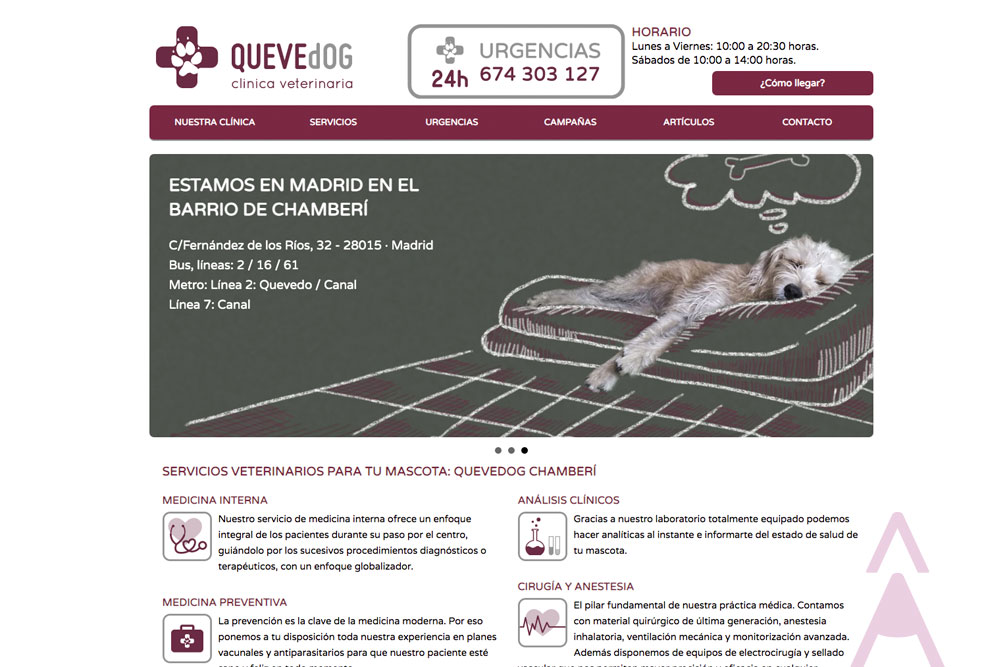 Home web Clínica veterinario Quevedog. Disseny Gisela Almerich comunicació gràfica