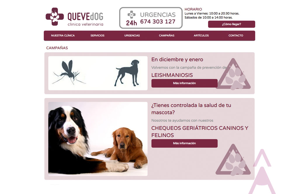 Pàgina de notícies y alertes sobre campanyes de vacunació Clínica veterinario Quevedog. Disseny Gisela Almerich comunicació gràfica