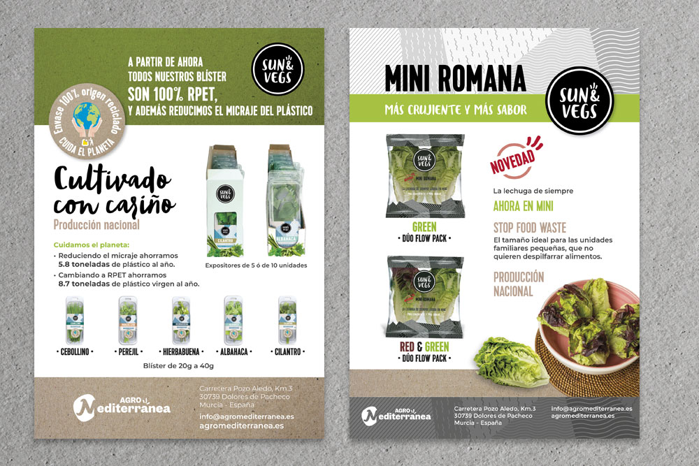 Disseny gràfic de fulls volants per a Sun@Vegs