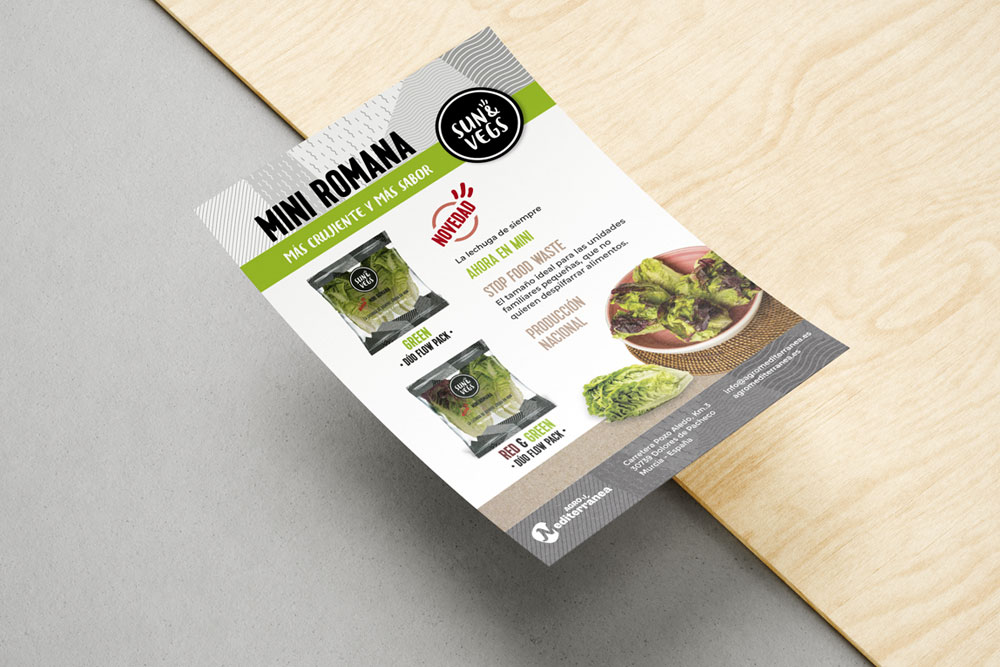 Disseny gràfic de fulls volants per a Sun@Vegs